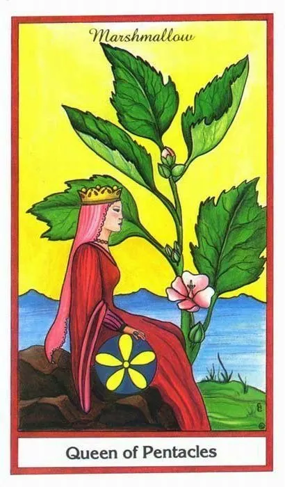 The Herbal Tarot Review 11 Queen of Pentacles from The Herbal Tarot