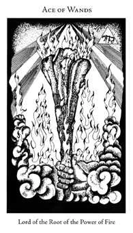 Ace of Wands card from the Hermetic Tarot deck