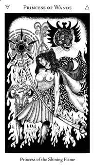 Princess of Wands card from the Hermetic Tarot deck