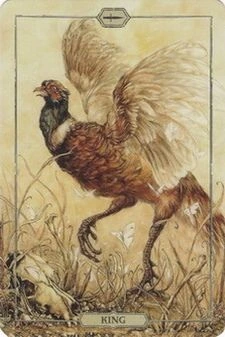 Hush Tarot Card 55 from the Hush Tarot recovered Pinterest gallery