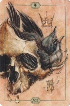 Ace of Cups card from the Hush Tarot deck