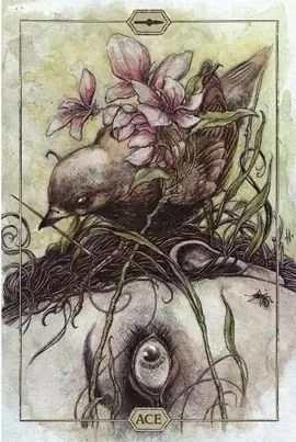Ace of Wands from the Hush Tarot deck