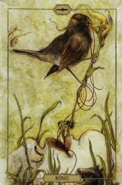King of Wands card from the Hush Tarot deck