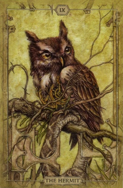 The Hermit card from the Hush Tarot deck