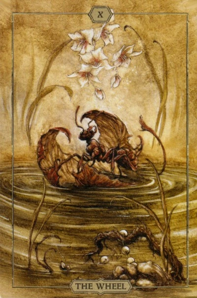 The Wheel from the Hush Tarot deck