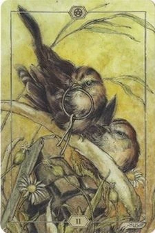 Two of Pentacles from the Hush Tarot deck