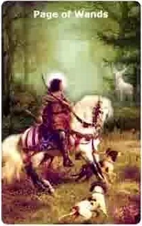 Page of Wands card from the Infinite Visions Tarot deck