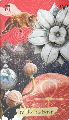 The Emperor card from the Journey Of The Sacred Bee Tarot deck