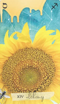 Temperance card from the Journey Of The Sacred Bee Tarot deck