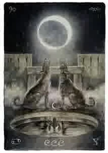 Labyrinth Tarot Video Card 33 recovered from the TarotFans Labyrinth Tarot walkthrough