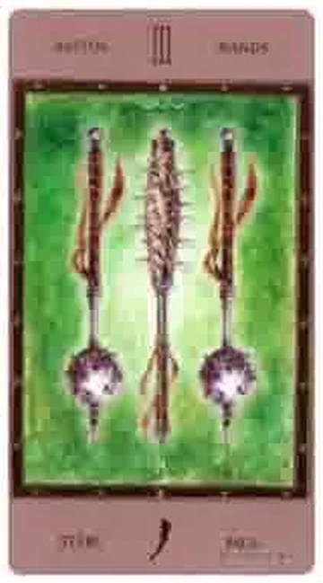 Labyrinth Tarot Video Card 38 recovered from the TarotFans Labyrinth Tarot walkthrough