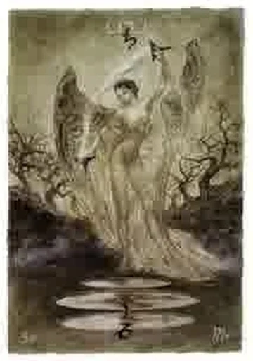 Labyrinth Tarot Video Card 40 recovered from the TarotFans Labyrinth Tarot walkthrough