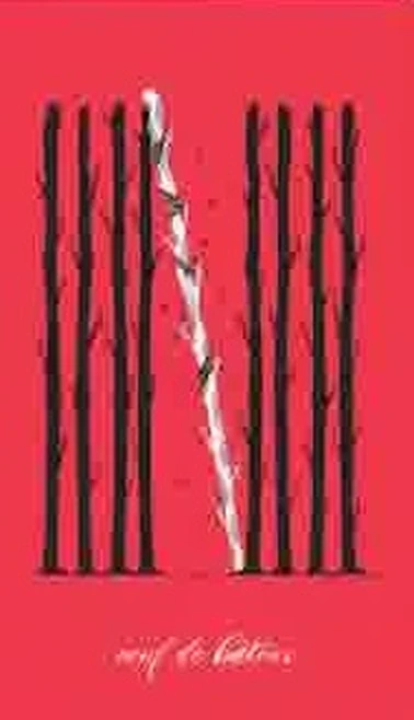 Six of Wands card from the Le Tarot Tricolore deck