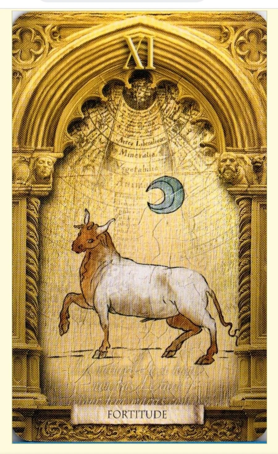 Fortitude card from the Lost Tarot of Nostradamus deck