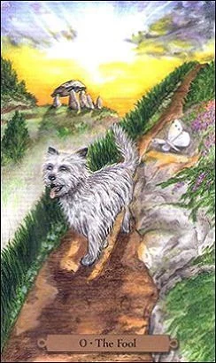 The Fool card from the Magical Dogs Tarot deck