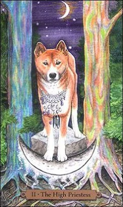The High Priestess card from the Magical Dogs Tarot deck