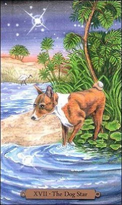 The Dog Star card from the Magical Dogs Tarot deck
