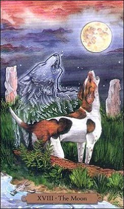 The Moon card from the Magical Dogs Tarot deck
