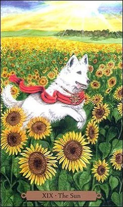 The Sun card from the Magical Dogs Tarot deck