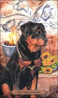 Fire Alpha Female card from the Magical Dogs Tarot deck