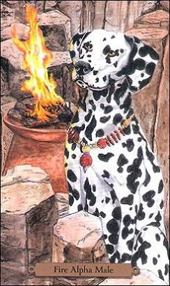 Fire Alpha Male card from the Magical Dogs Tarot deck