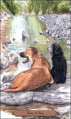 Two of Sea card from the Magical Dogs Tarot deck