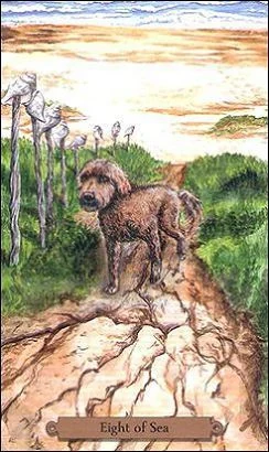 Eight of Sea card from the Magical Dogs Tarot deck