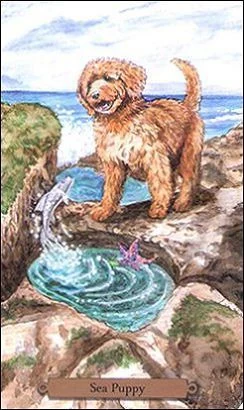 Sea Puppy card from the Magical Dogs Tarot deck