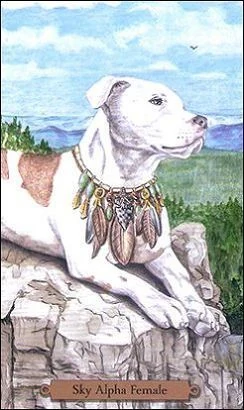 Sky Alpha Female card from the Magical Dogs Tarot deck