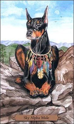 Sky Alpha Male card from the Magical Dogs Tarot deck