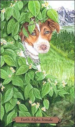 Earth Alpha Female card from the Magical Dogs Tarot deck