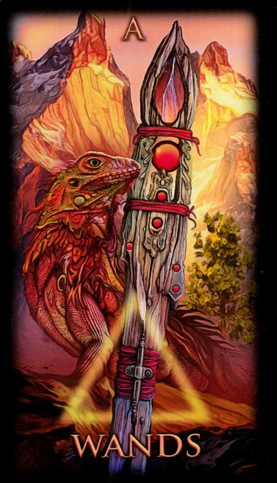 Ace of Wands card from the Marchetti Tarot deck