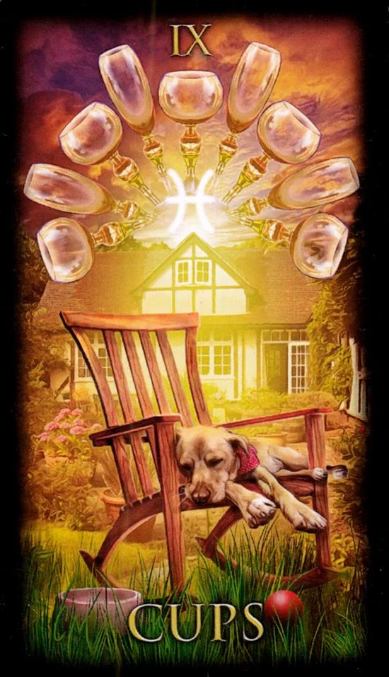 Nine of Cups card from the Marchetti Tarot deck