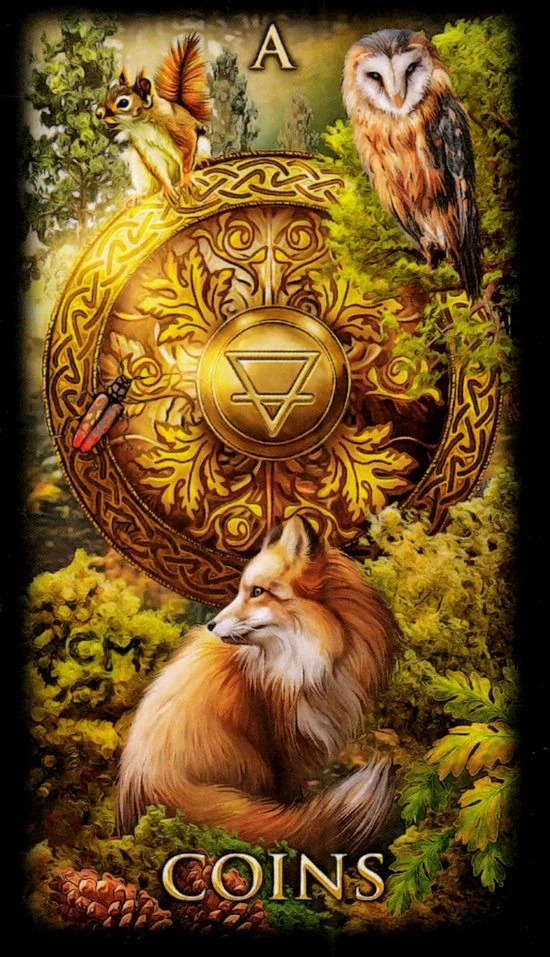 Ace of Coins card from the Marchetti Tarot deck