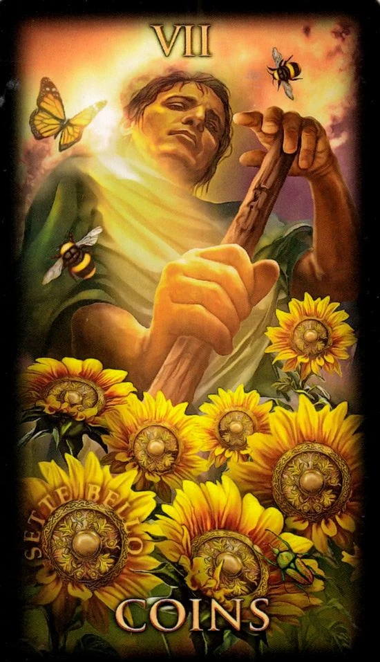 Seven of Coins card from the Marchetti Tarot deck