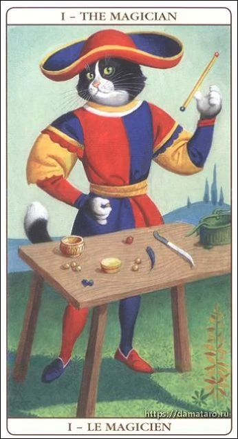 Marseille Cat Tarot Review