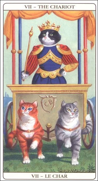 Marseille Cat Tarot Review 3 The Chariot card from the Marseille Cat Tarot deck