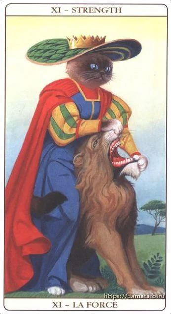 Marseille Cat Tarot Review 4 Strength card from the Marseille Cat Tarot deck