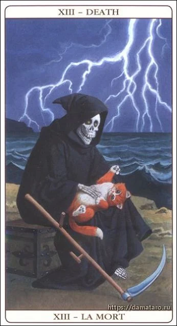 Death card from the Marseille Cat Tarot deck