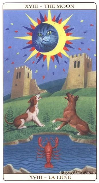 Marseille Cat Tarot Review 11 The Moon card from the Marseille Cat Tarot deck
