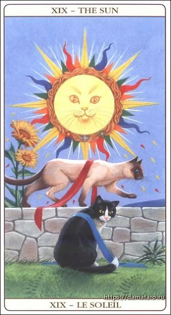 The Sun card from the Marseille Cat Tarot deck