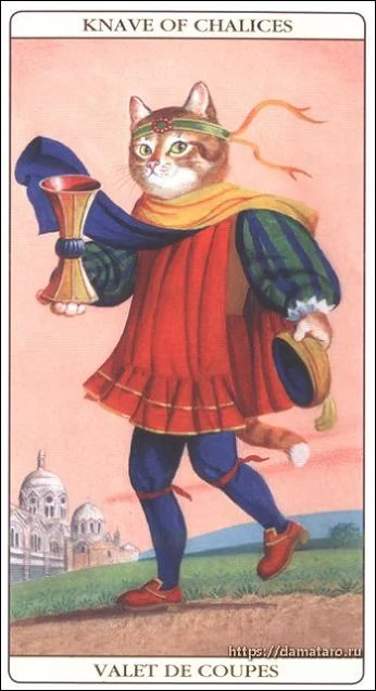 Marseille Cat Tarot Review 12 Knave of Chalices card from the Marseille Cat Tarot deck