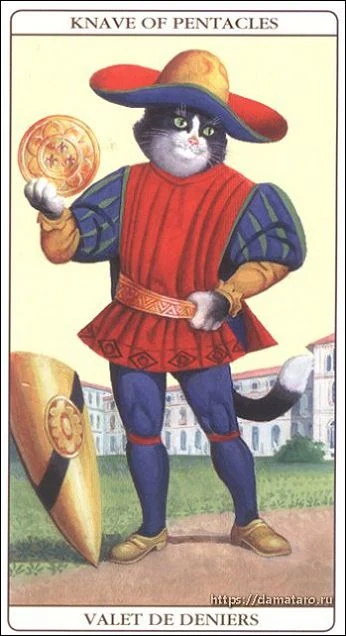 Knave of Pentacles card from the Marseille Cat Tarot deck
