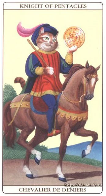 Marseille Cat Tarot Review 13 Knight of Pentacles card from the Marseille Cat Tarot deck