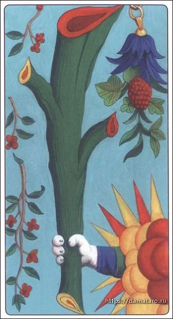 Marseille Cat Tarot Review 9 Ace of Wands card from the Marseille Cat Tarot deck