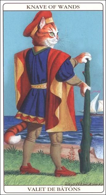 Knave of Wands card from the Marseille Cat Tarot deck
