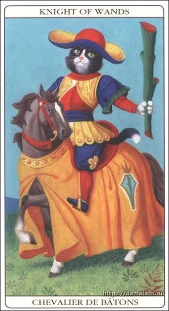 Knight of Wands card from the Marseille Cat Tarot deck
