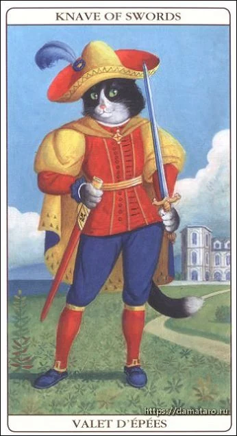 Knave of Swords card from the Marseille Cat Tarot deck