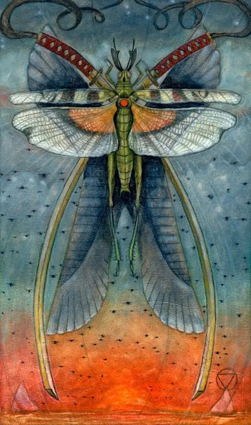 Mary El Tarot Review 12 2 of Swords card from the Mary-El Tarot deck