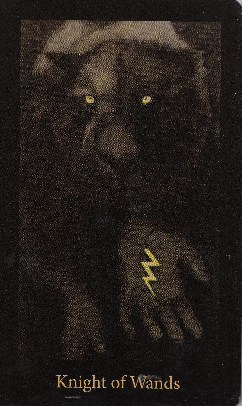 Mary El Tarot Review 9 Knight of Wands card from the Mary-El Tarot deck